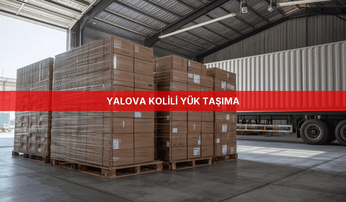 Yalova Kolili Yük Taşıma